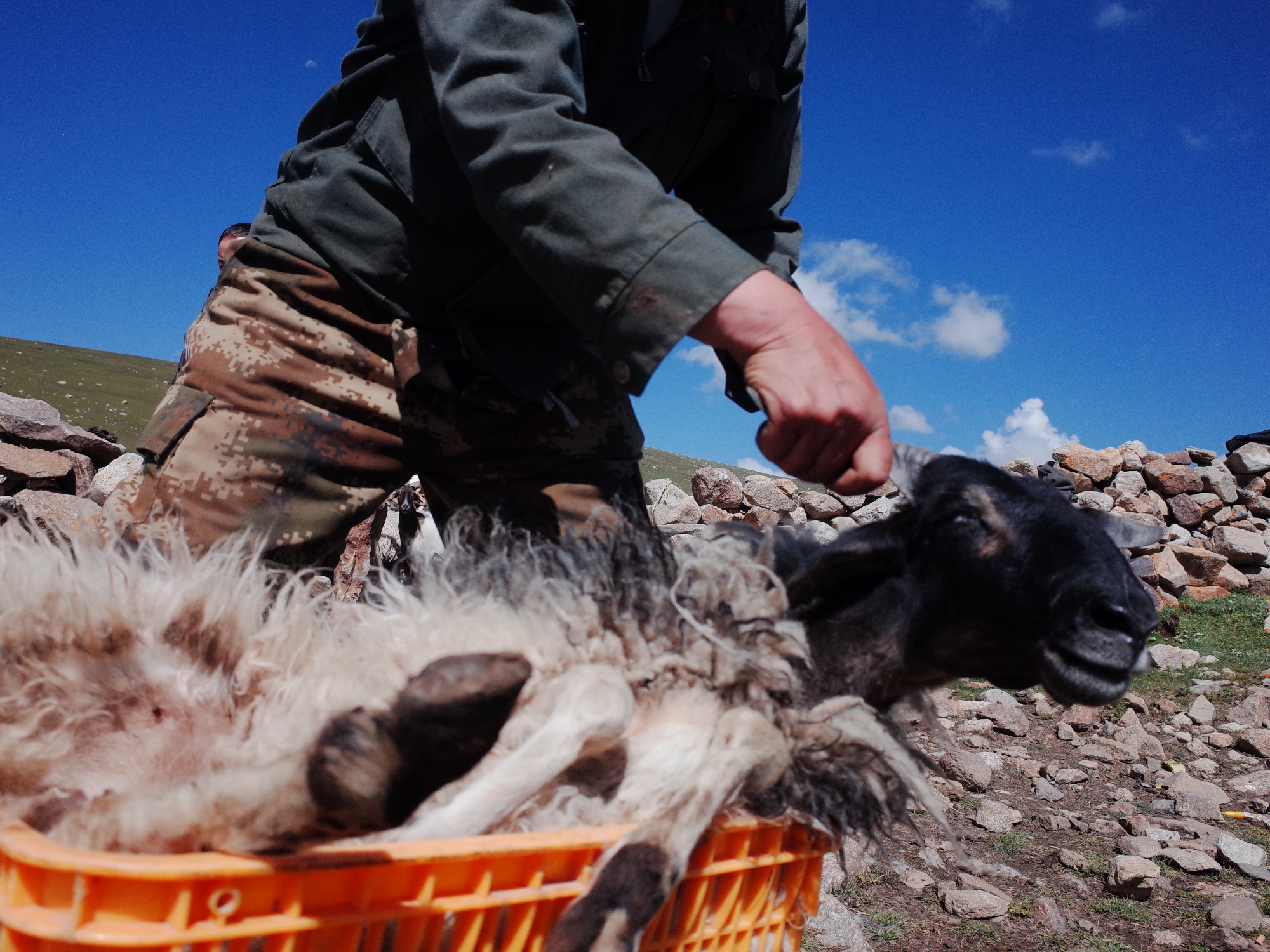 Ongoing Pastoral Fieldwork — R0038408.JPG