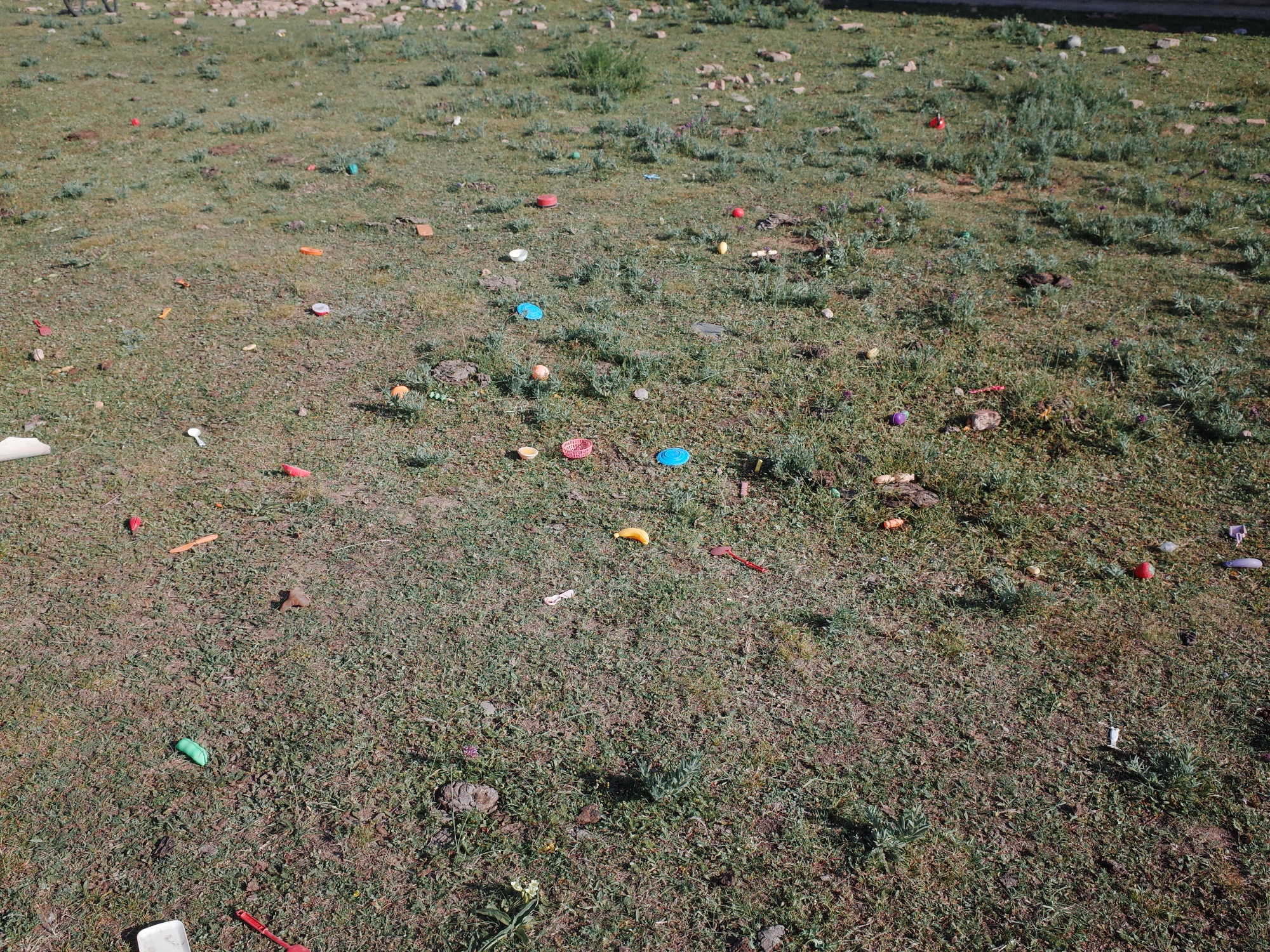 Ongoing Pastoral Fieldwork — R0038486.JPG
