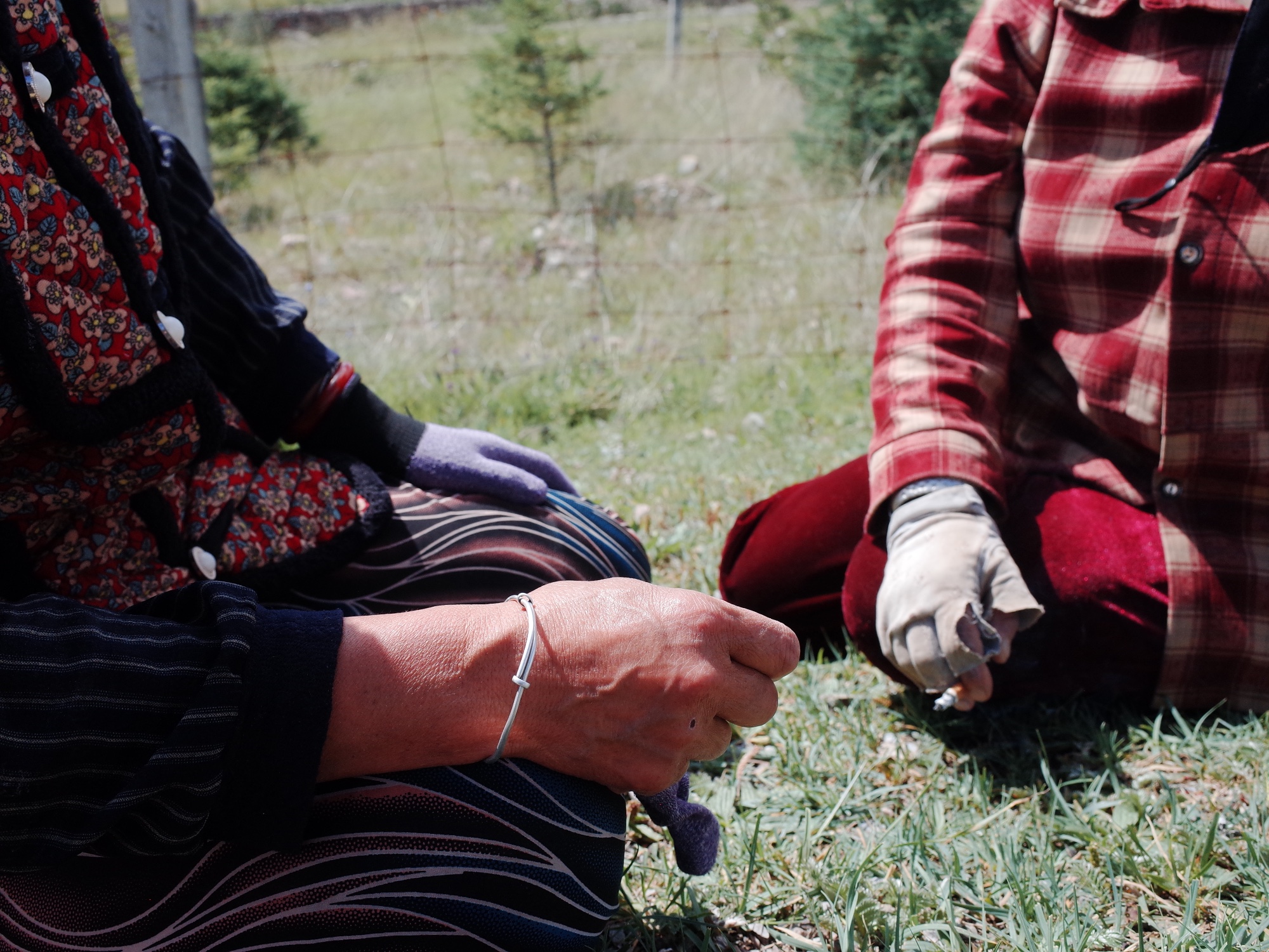 Ongoing Pastoral Fieldwork — R0038281.JPG