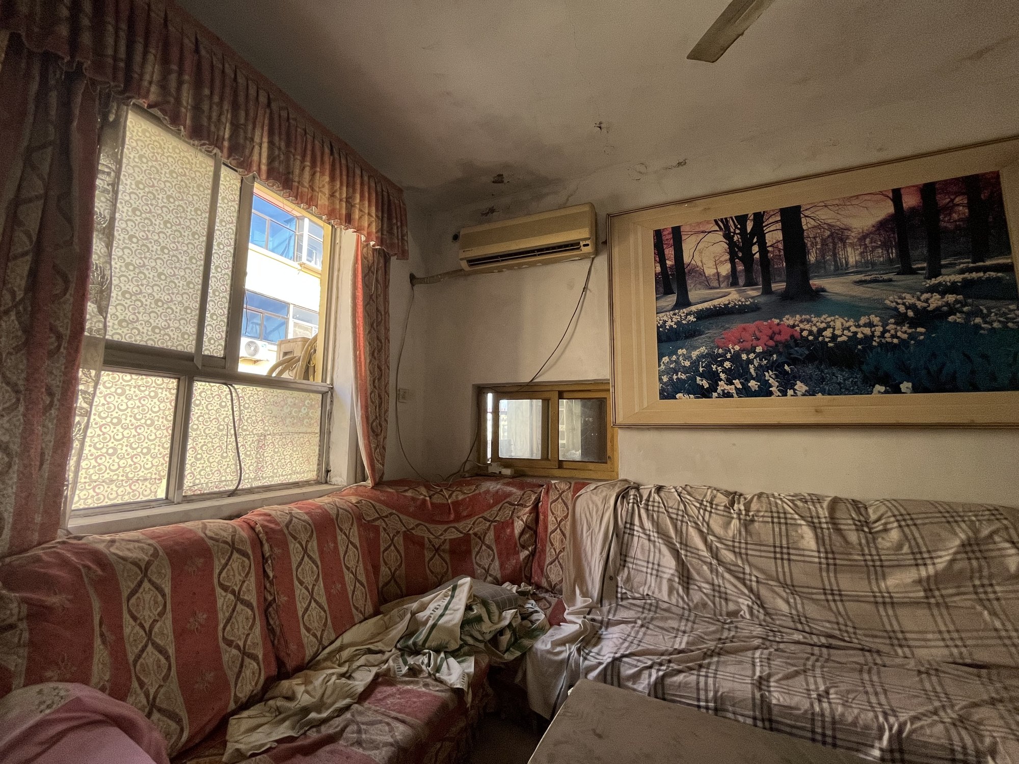 Dwelling Elsewhere — IMG_4718.jpeg