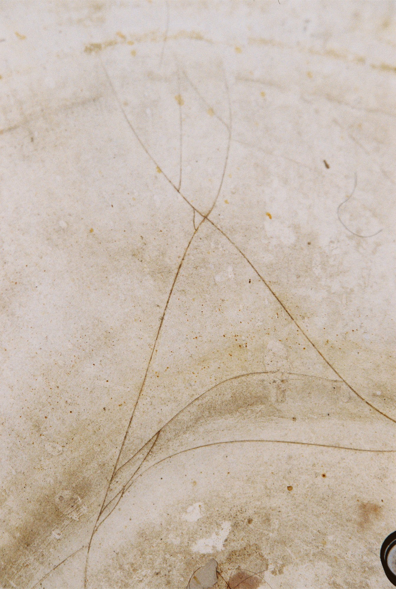 Dwelling Elsewhere — 000066.jpg