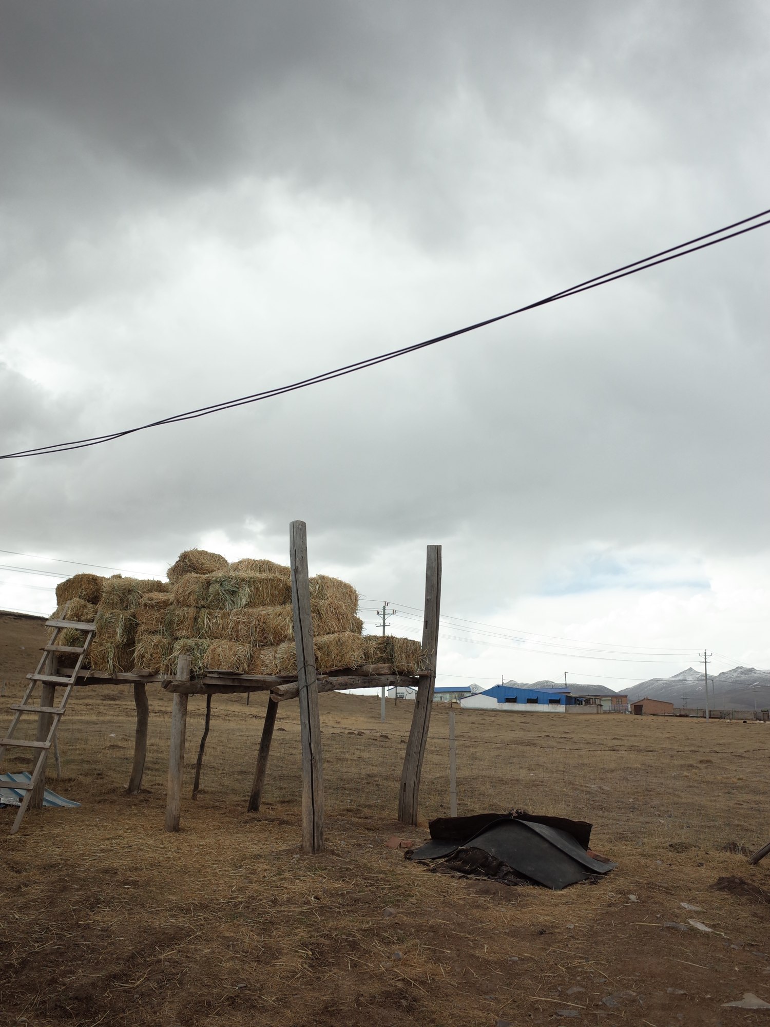 Ongoing Pastoral Fieldwork — R0035259.JPG
