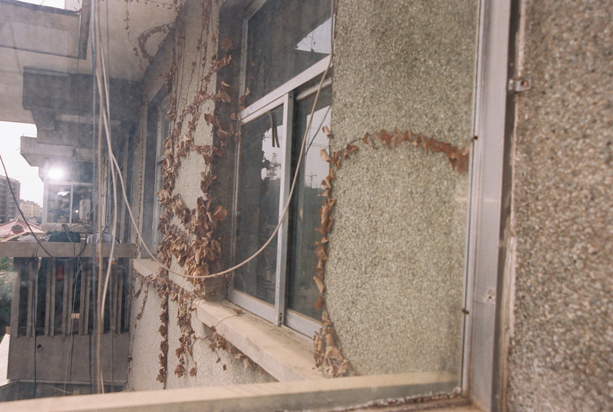 Dwelling Elsewhere — 000011.jpg