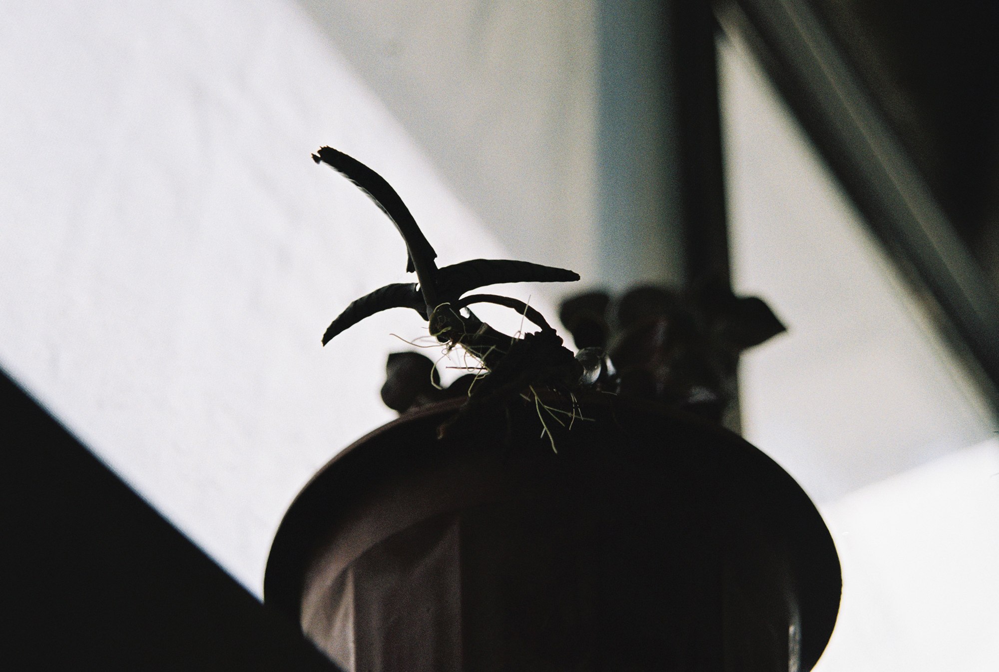 Dwelling Elsewhere — 000004.jpg