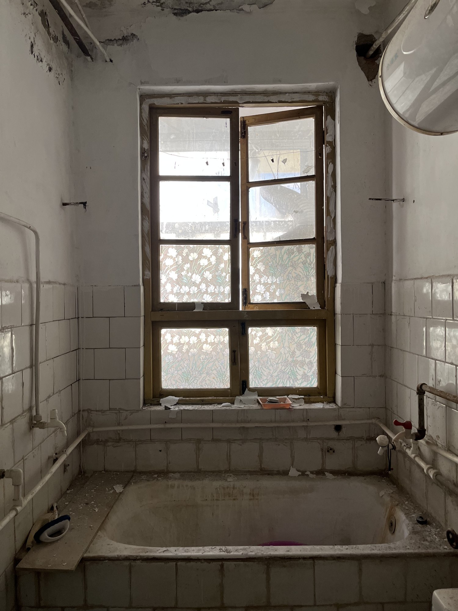 Dwelling Elsewhere — IMG_4711.jpeg